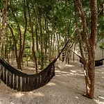 Lux Jungle Studio Near Beach