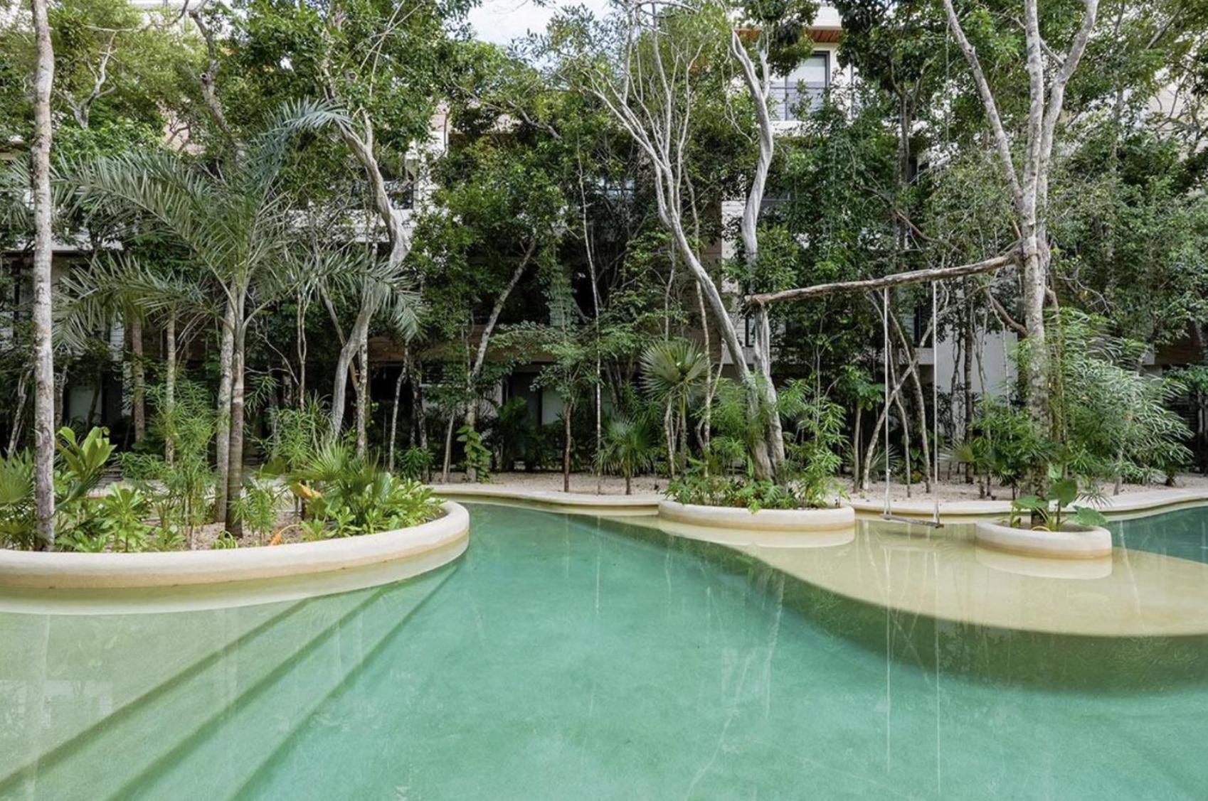 Lux Jungle Near Apartment