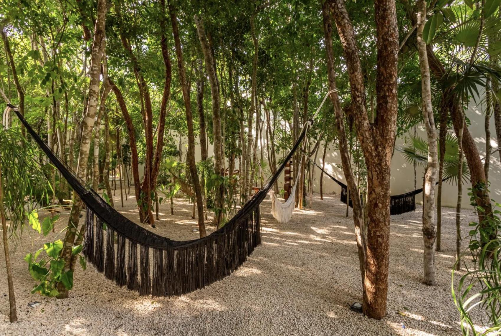Apartment Lux Jungle Near